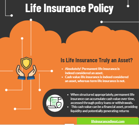 An Image Showing Life Insurance Policy as an Asset